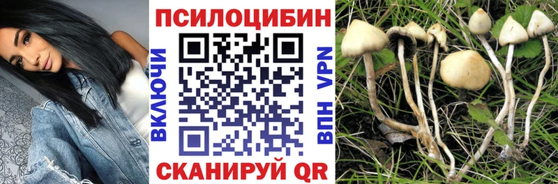 Псилоцибиновые грибы Magic Shrooms  купить   Кириллов 